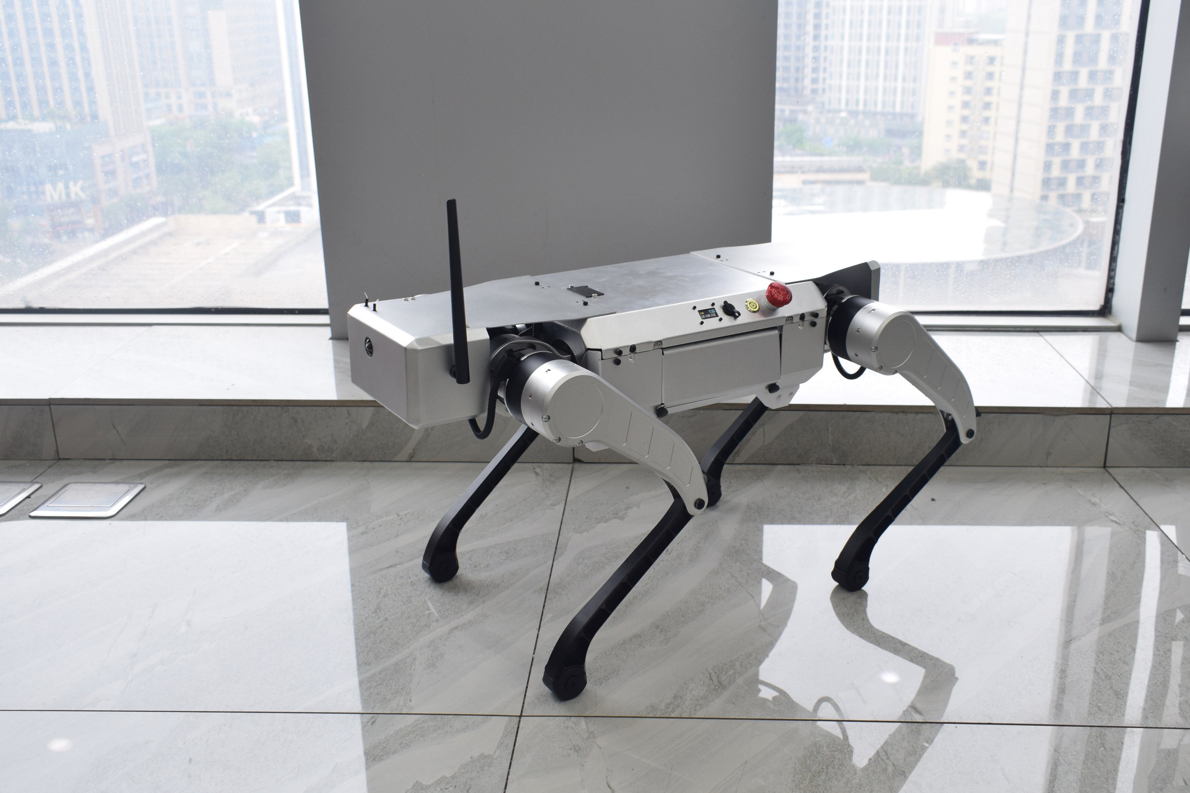 NavBot-D1 quadruped robot office side view