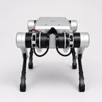 NavBot-D1 robot dog front view for ROS 2 development