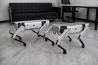 NavBot-D1 quadruped robots side by side