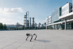 NavBot-D1 outdoor walking test for reinforcement learning locomotion