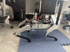 NavBot-D1 Quadruped Robot