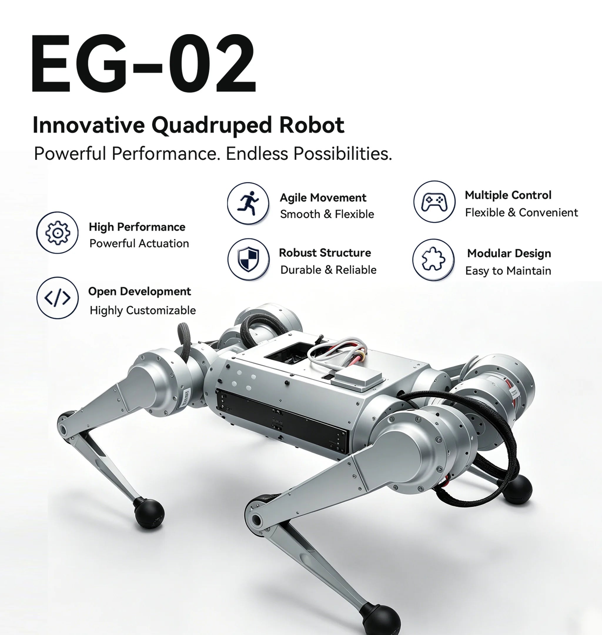 NavBot-EG02 — 12-DOF High-Performance Quadruped Robot