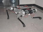 D1 Detail 6