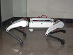 D1 Detail 7