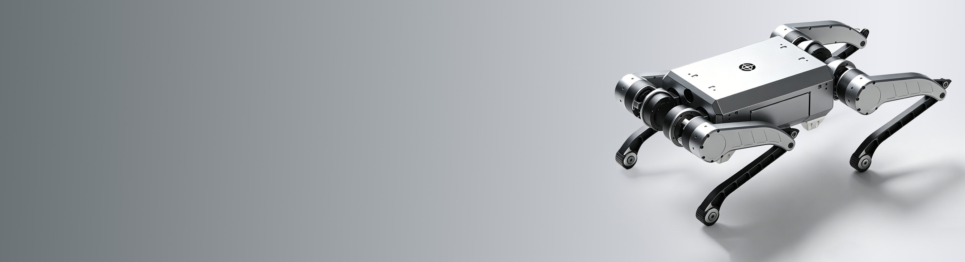 D1 Banner