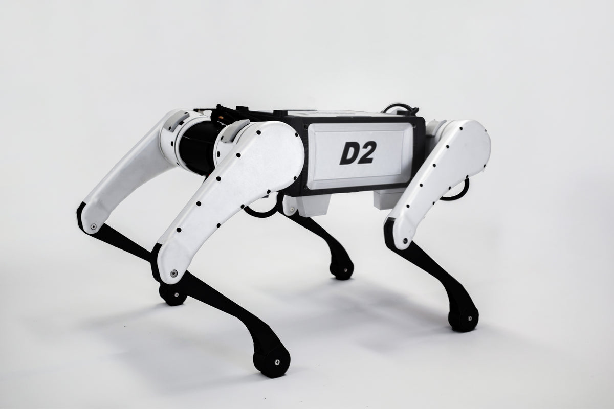 Kinatric D2 standing in a studio, three-quarter side view