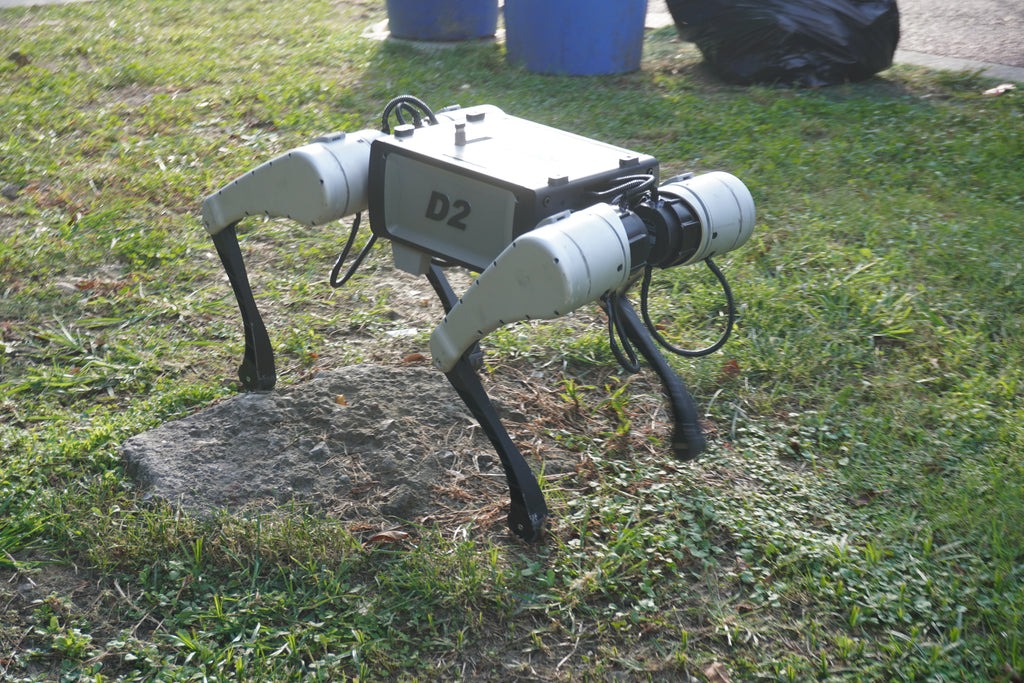 Kinatric D2 outdoors on grass and stone