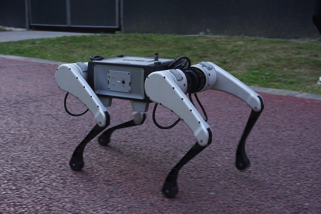 Kinatric D2 outdoors on a paved path, control-panel side