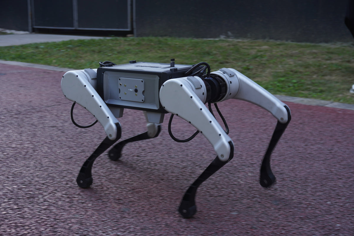 Kinatric D2 outdoors on a paved path, control-panel side