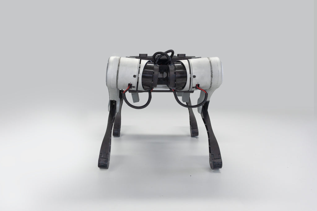 Kinatric D2 quadruped robot, front view