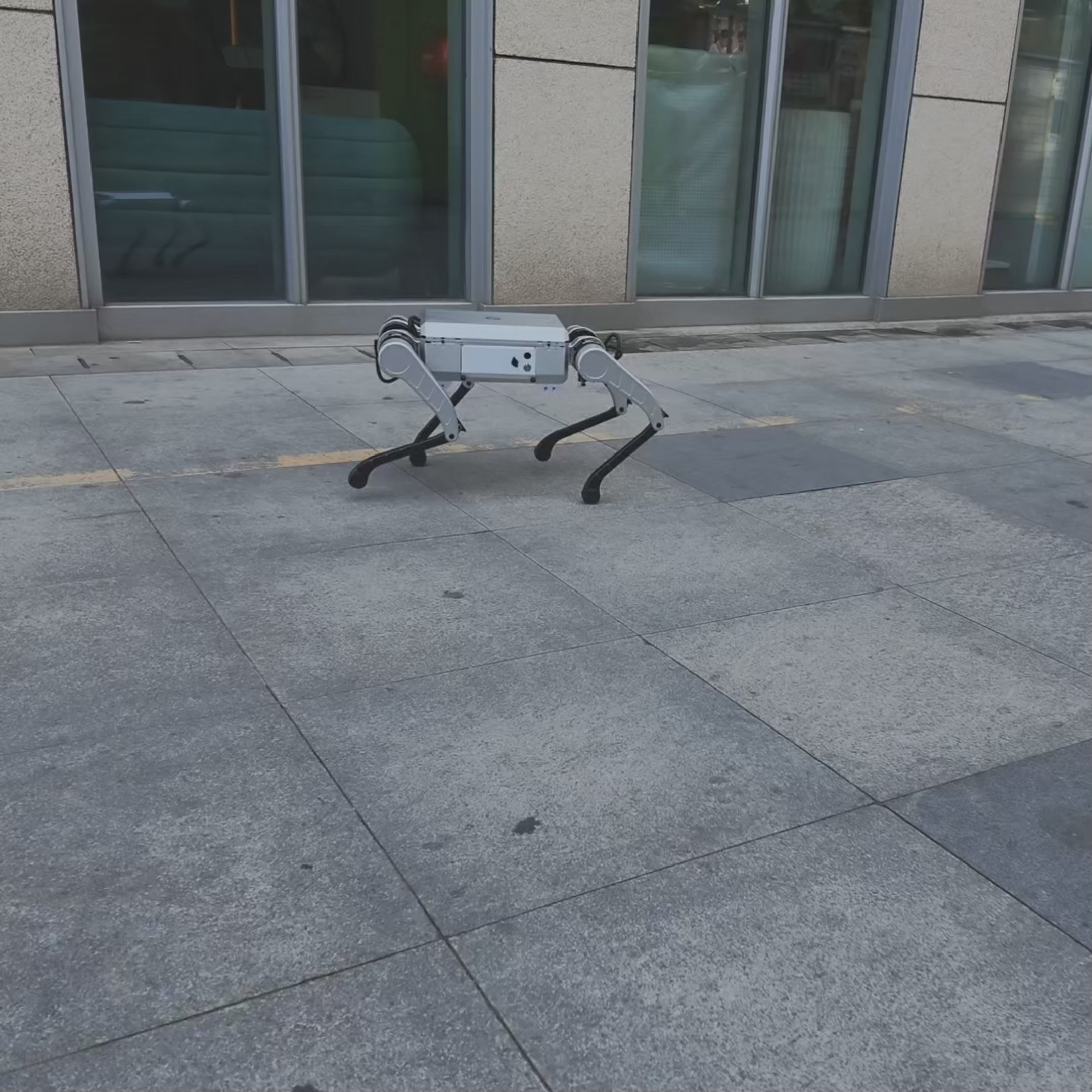 NavBot-D1 latest test video August 7