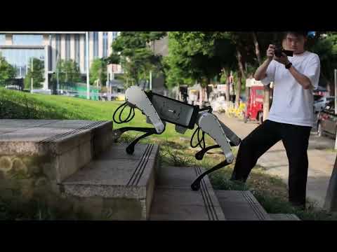 Kinatric D2 outdoor and stair test